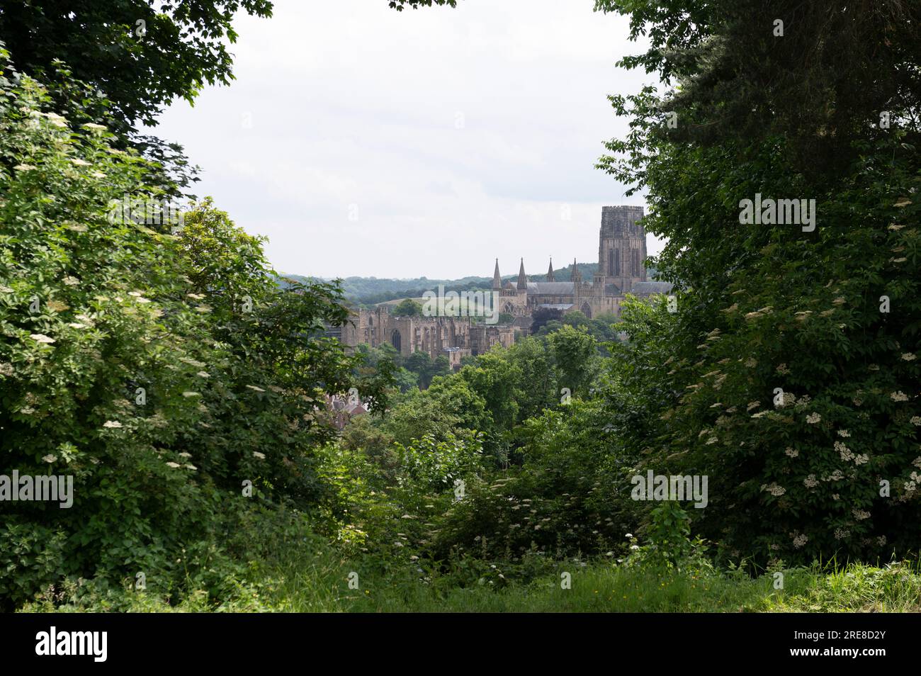 Durham vom Hügel aus gesehen durch die Bäume Stockfoto