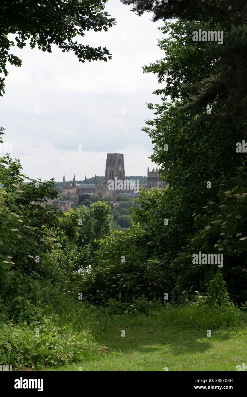 Durham vom Hügel aus gesehen durch die Bäume Stockfoto