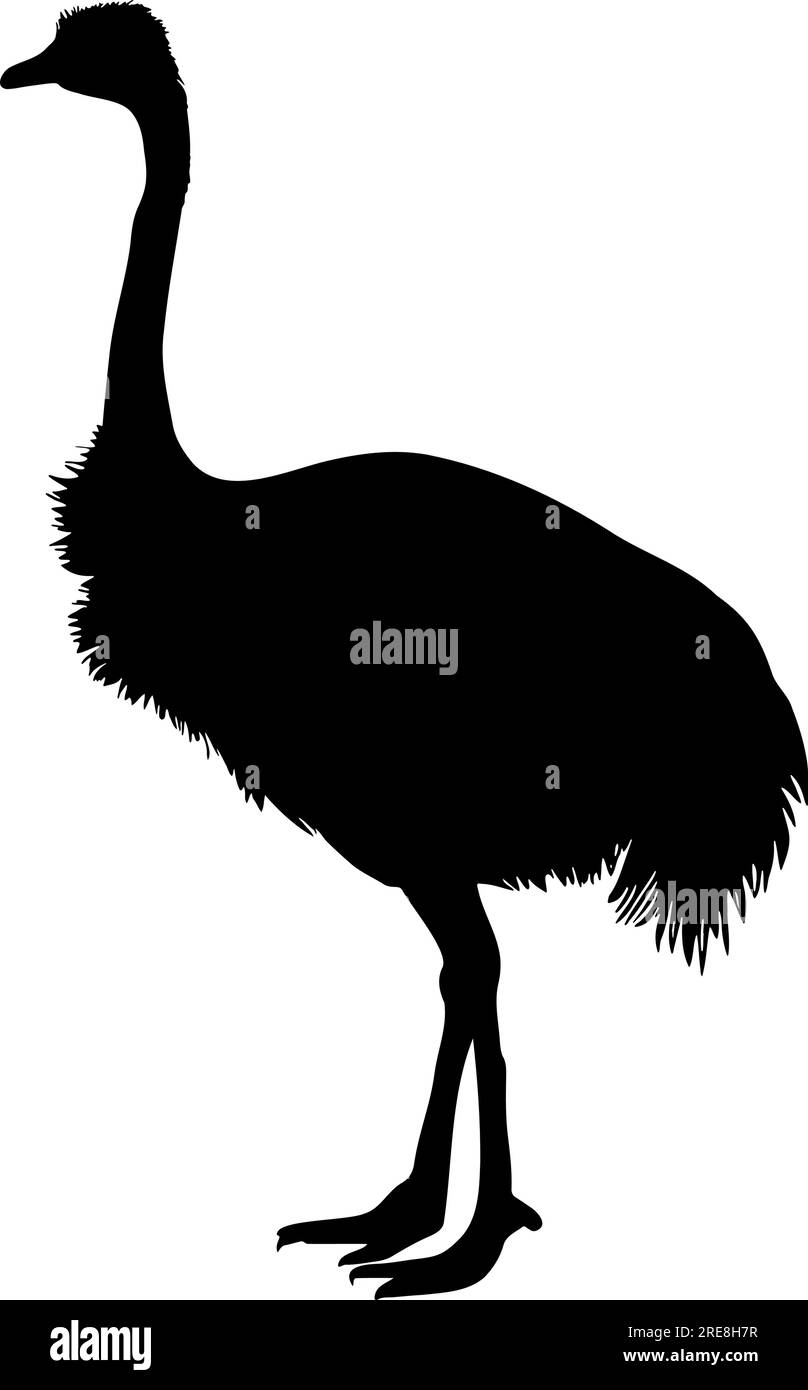 Straußensilhouette. Vektordarstellung Stock Vektor