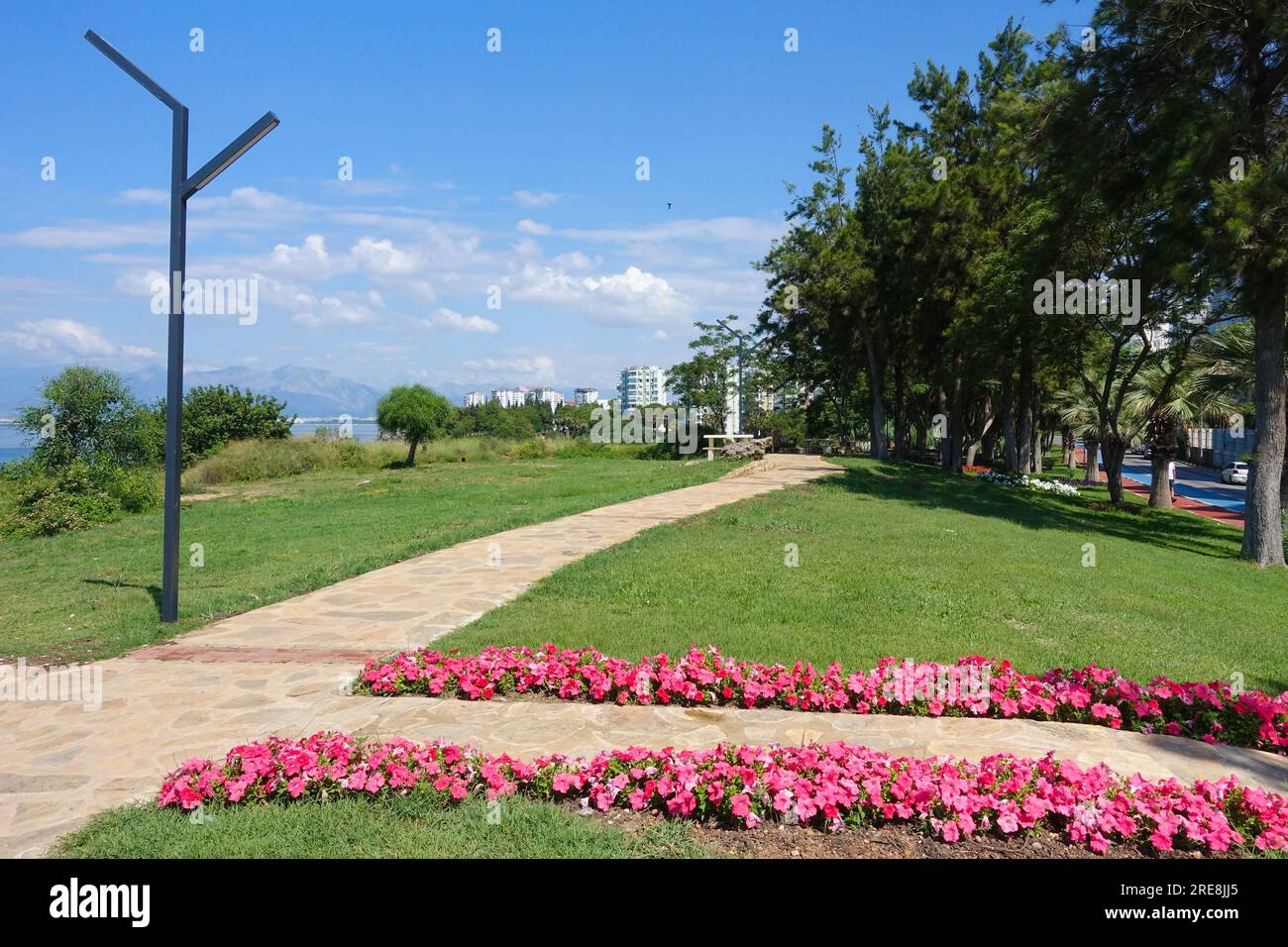 Wunderschöne, leuchtend rosa Blumen auf dem Küstenweg machen Antalya Turkey Stockfoto