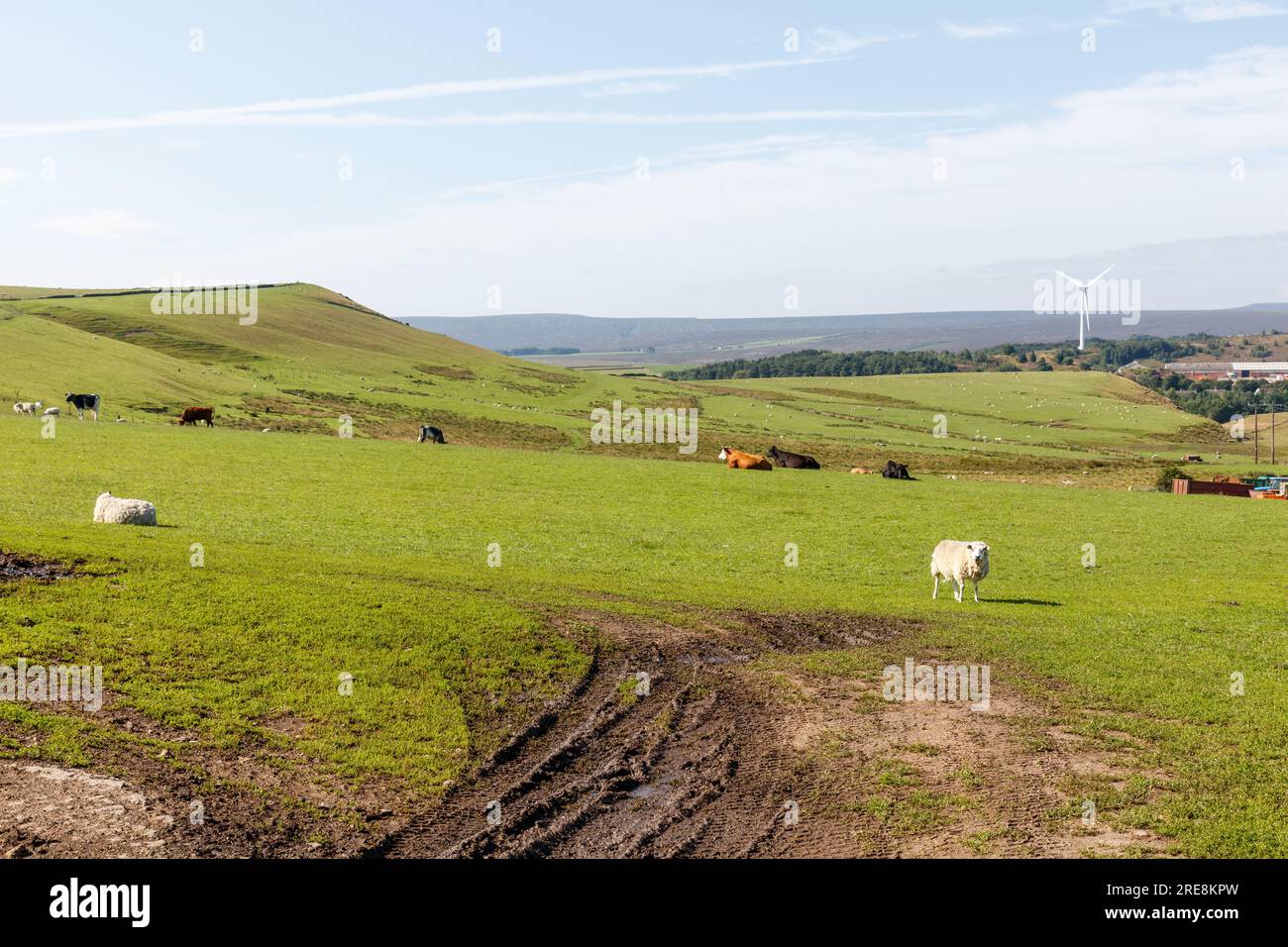 Pennine Landschaften, South Yorkshire Stockfoto