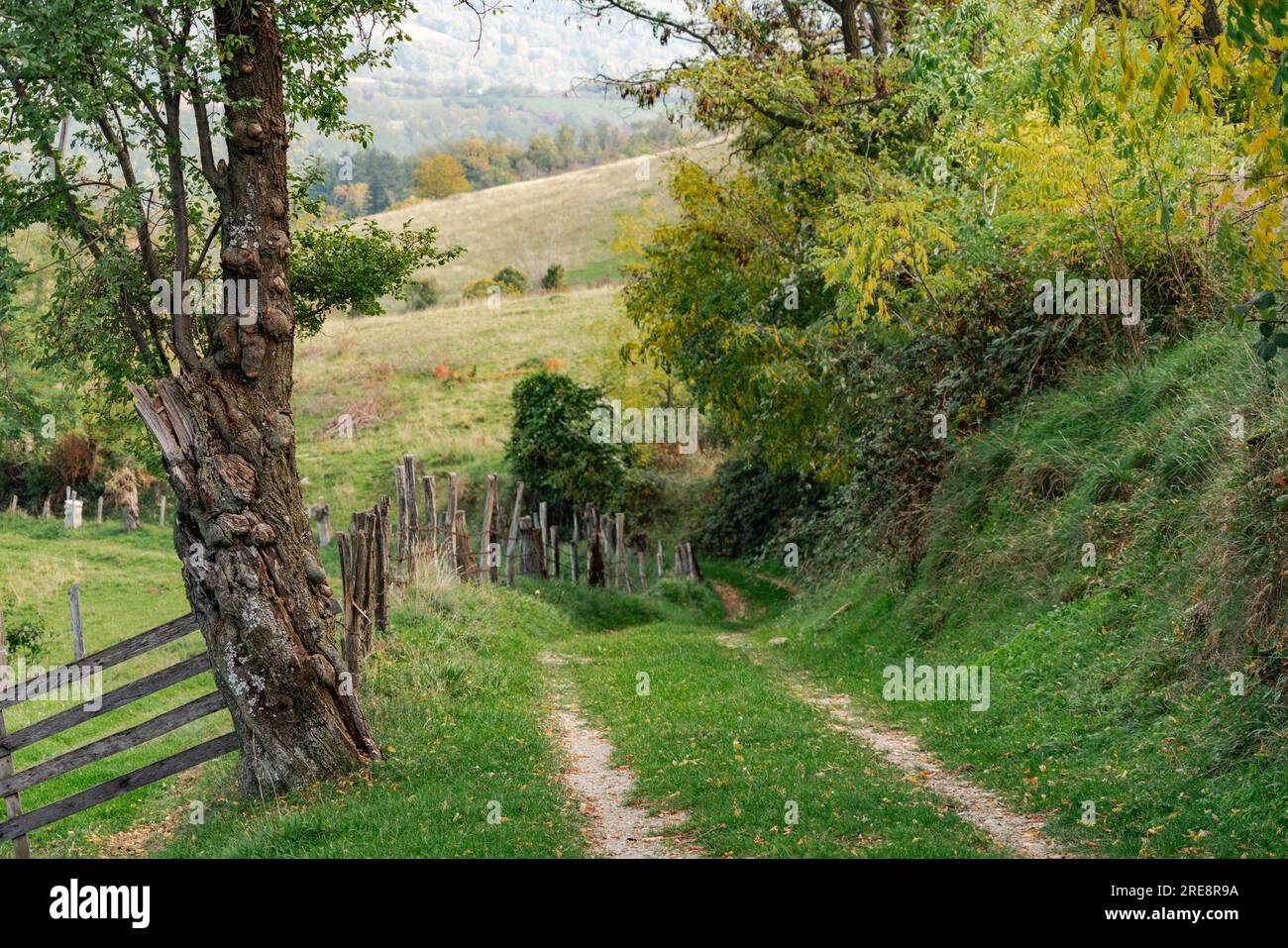Pfad in den Herbstbergen. Stockfoto