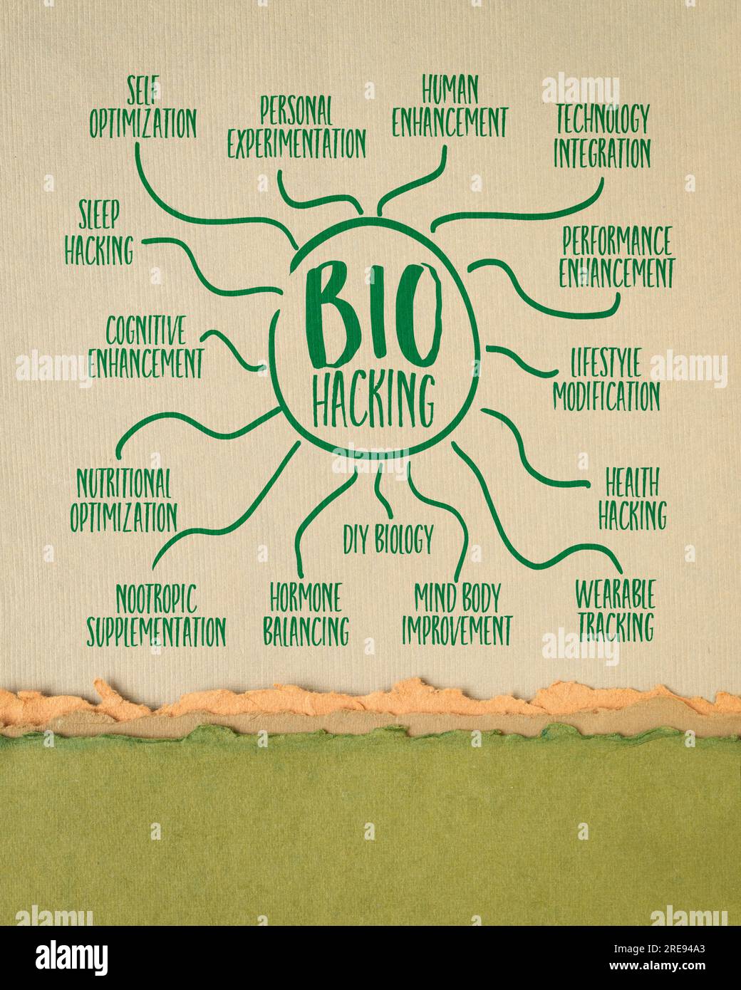 biohacking Infografiken oder Mindmap-Skizze auf Kunstpapier, persönliche Entwicklung, Gesundheit und Leistungskonzept Stockfoto