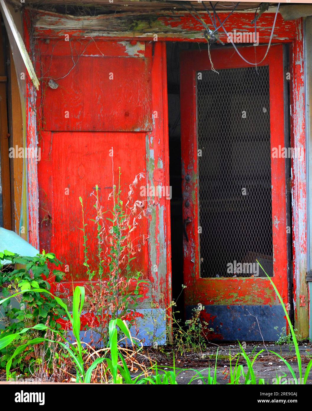 Ein heruntergekommener, geschlossener Laden hat seine roten Türen aufgebrochen. Die roten Türen haben Risse und die Farbe blättert ab. Verfaulte Bretter hängen von oben. Stockfoto