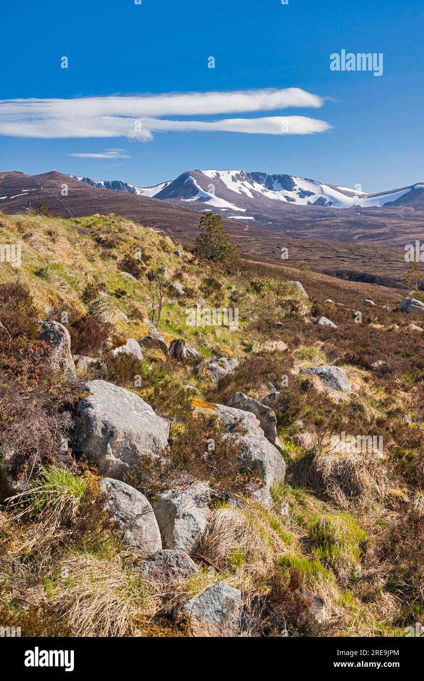 Mit Blick nach Westen zum Cairn Gorm Mountain, von Loch morlich, Aviemore, Highland, Schottland, Großbritannien Stockfoto