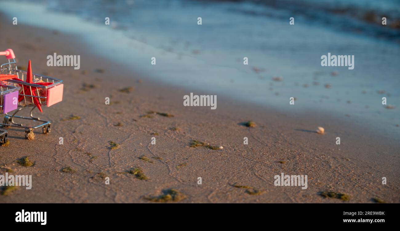 Der Miniatur-Einkaufskorb Steht Am Ufer Des Meeres, Das Mit Wasser Gespült Wird, Im Korb Gibt Es Muscheln, Seesterne Und Seepferdchen. Das Konzept Des Sommers Stockfoto