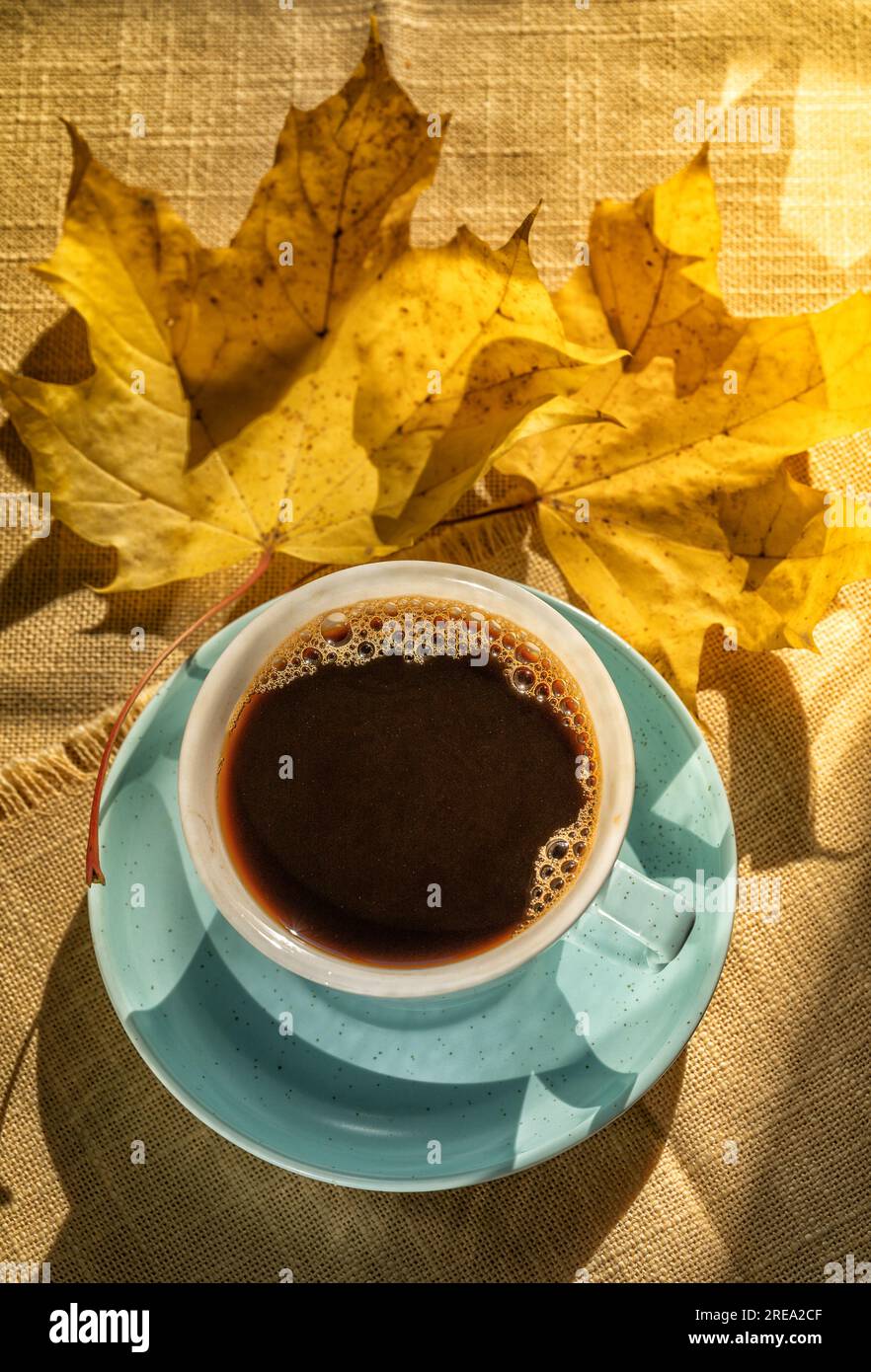 Tasse mit schwarzem Kaffee über Herbst gelbe Blätter Hintergrund, flach legen. Tageslicht. Stockfoto
