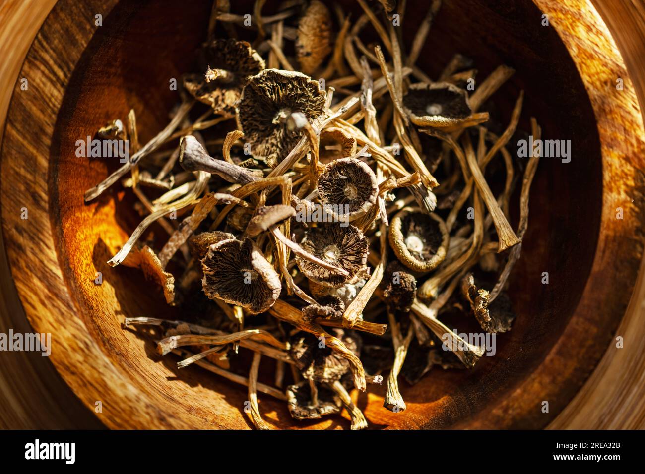 Getrocknete halluzinogene Zauberpilze in einer Holzschüssel. Psychoaktive Psilocybin-Pilze. Getrocknete Pilze auf Grunge-Teller Stockfoto