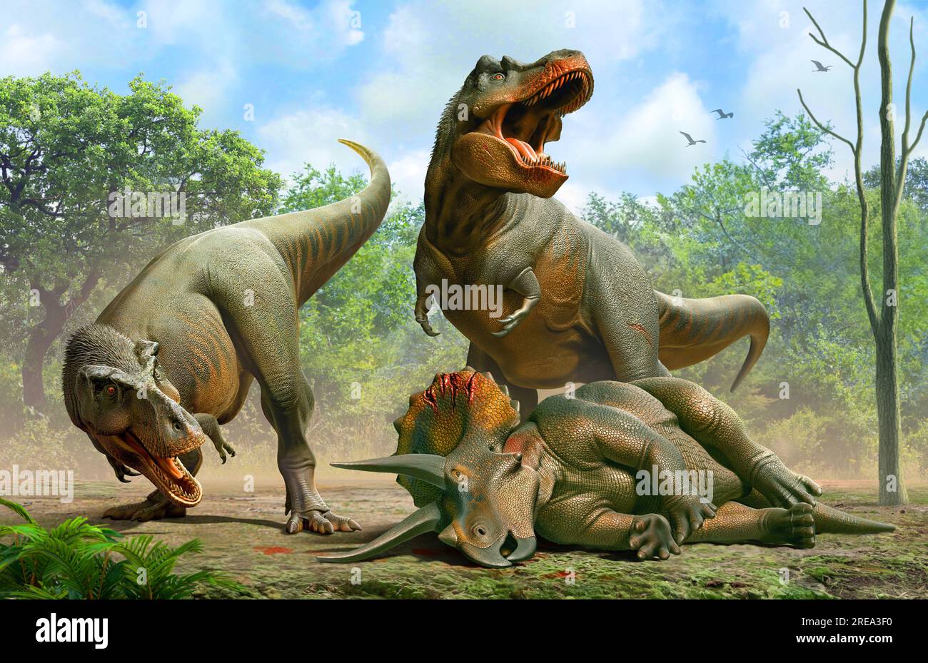 Tyrannosaurus rex jagte Einen Triceratops Stockfoto