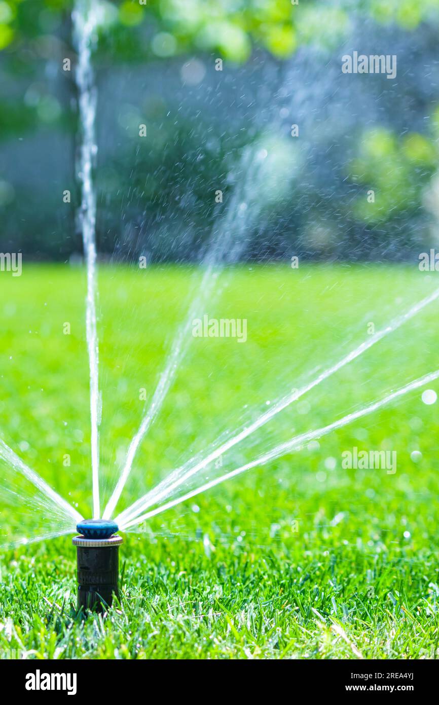 Bewässerungssystem im Hausgarten. Automatischer Rasensprenger zur Bewässerung von grünem Gras. Selektiver Fokus. Stockfoto