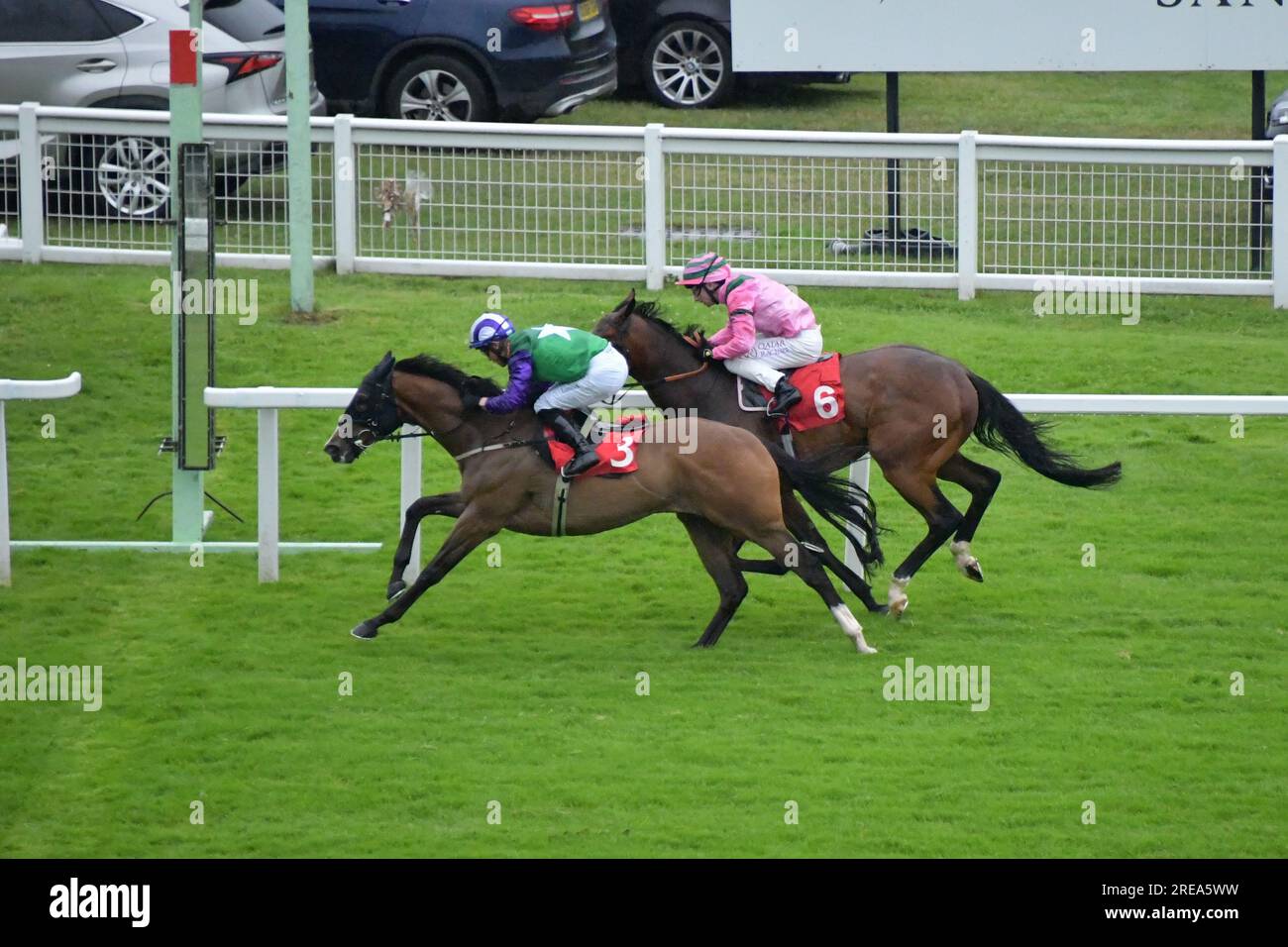 London, Großbritannien. 26. Juli 2023 Night Oats (Nummer 3), geritten von Ray Dawson, gewinnt die 18,00 vor Ben Hamrash (Nummer 6), geritten von Oisin Murphy, auf der Rennbahn Sandown Park, Großbritannien. Kredit: Paul Blake/Alamy Live News. Stockfoto