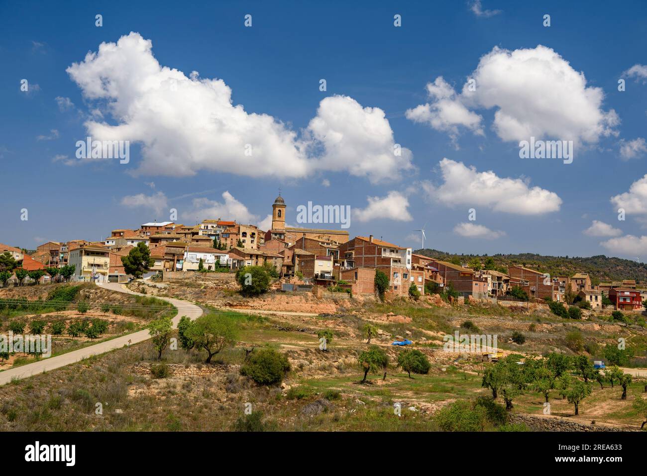 Dorf Bovera, auf einem Hügel, umgeben von Feldern und Obstbäumen (Les Garrigues, Lleida, Katalonien, Spanien) ESP: Pueblo de Bovera, en una Colina, Lérida Stockfoto