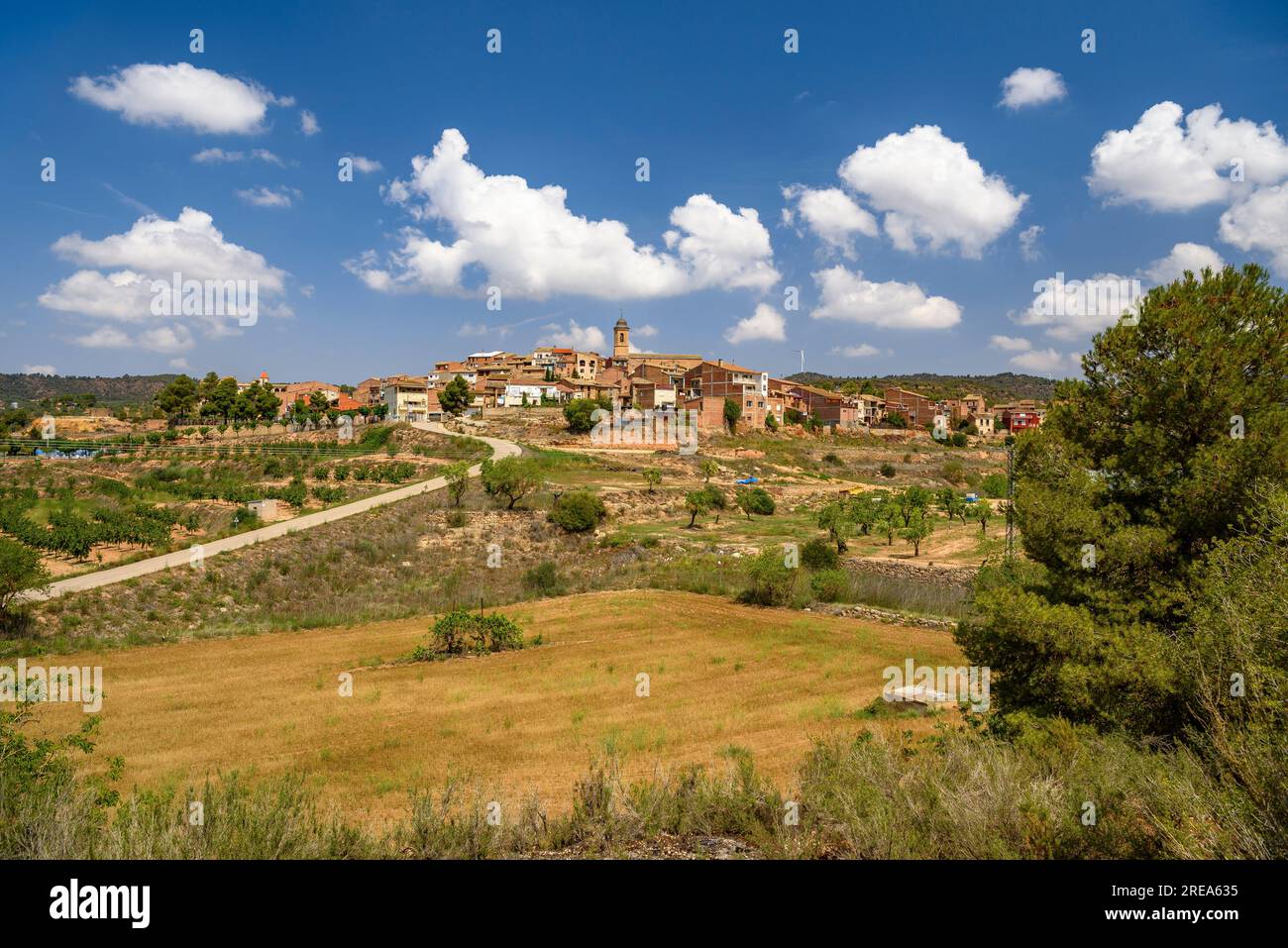 Dorf Bovera, auf einem Hügel, umgeben von Feldern und Obstbäumen (Les Garrigues, Lleida, Katalonien, Spanien) ESP: Pueblo de Bovera, en una Colina, Lérida Stockfoto