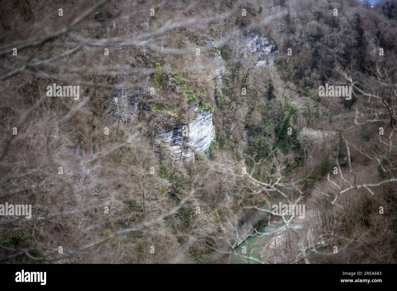 Blick auf bewaldete Berge. Fluss in den Bergen. Die Landschaft ist natürlich. Details des bergigen Geländes. Stockfoto