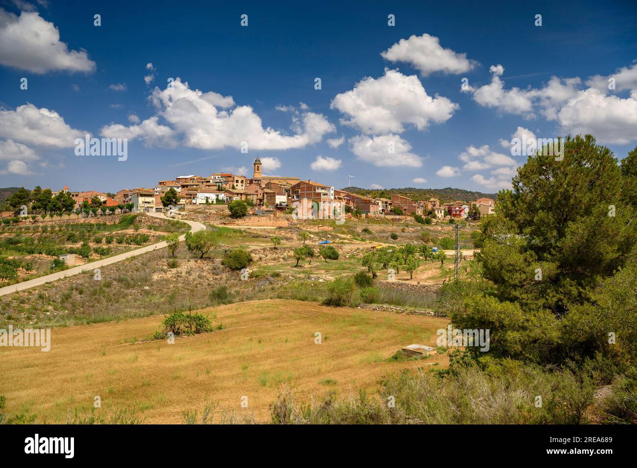 Dorf Bovera, auf einem Hügel, umgeben von Feldern und Obstbäumen (Les Garrigues, Lleida, Katalonien, Spanien) ESP: Pueblo de Bovera, en una Colina, Lérida Stockfoto