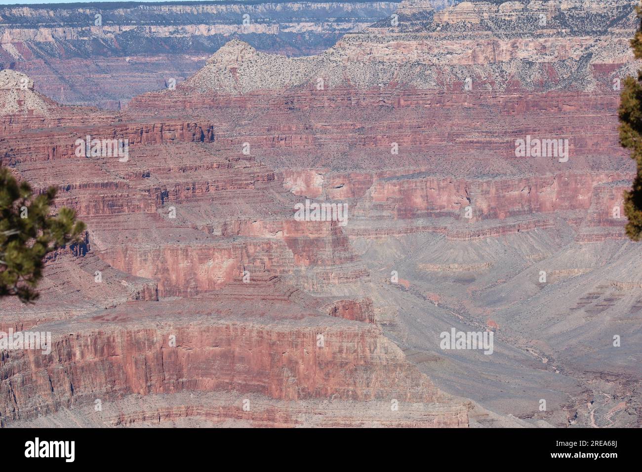 Der Blick vom Südrand des Grand Canyon Stockfoto