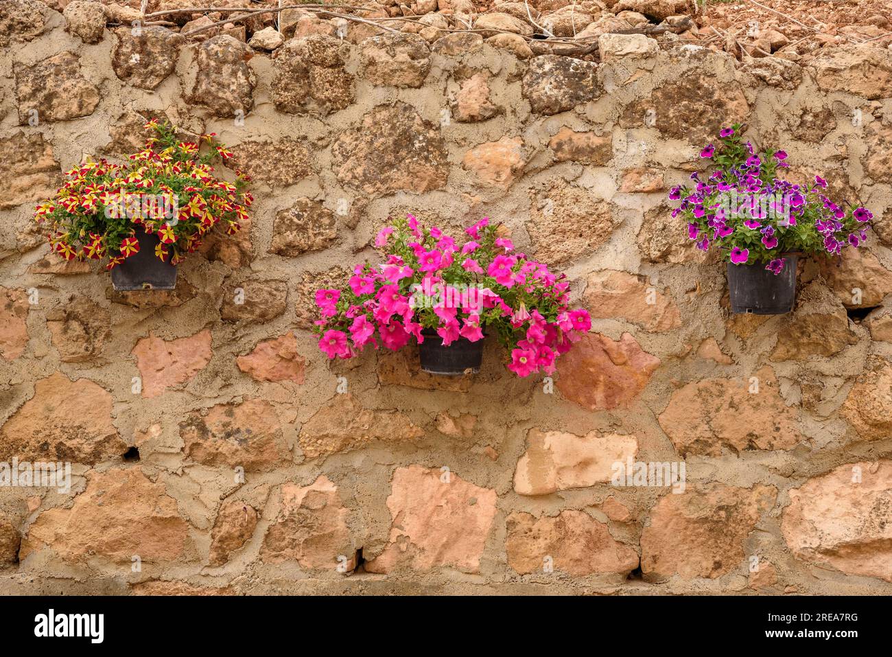 Angaben zum Dorf Bovera an einem Frühlingsnachmittag (Les Garrigues, Lleida, Katalonien, Spanien) ESP: Detalles del pueblo de Bovera (Lérida, España) Stockfoto