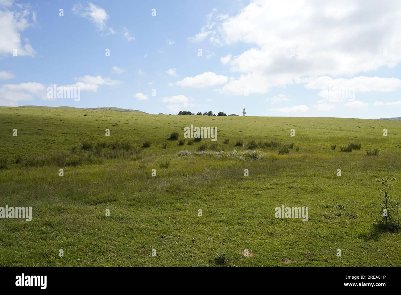 Wunderschöne Hintergrundtapete mit natürlicher Textur Stockfoto Wunderschöne Hintergrundtapete mit natürlicher Textur Stockfoto