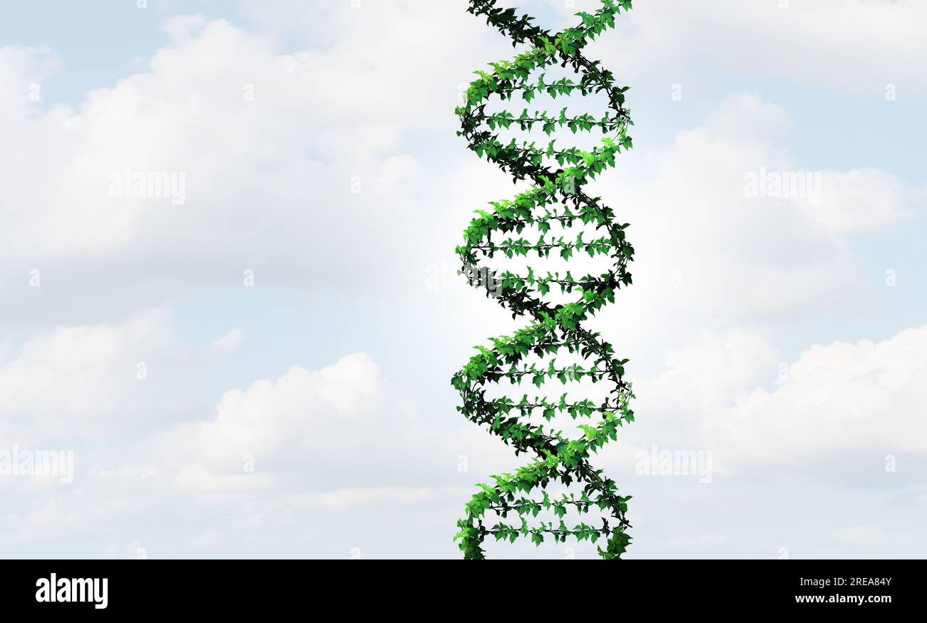 Genetik und Biologie als DNA-Therapie und Genbearbeitung als Doppelhelix-Konzept als medizinisch-genetische Gene als Chromosomen als GVO-Genomik Stockfoto