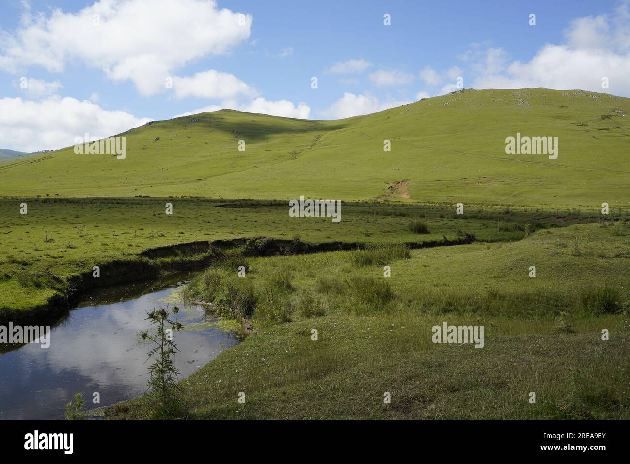 Wunderschöne Hintergrundtapete mit natürlicher Textur Stockfoto Wunderschöne Hintergrundtapete mit natürlicher Textur Stockfoto