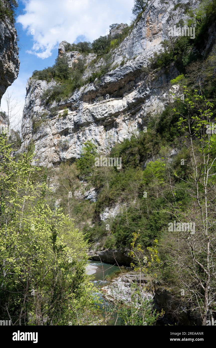 Die Binies-Schlucht, Foz de Binies im Veral-Tal, Huesca, Aragon, Spanien Stockfoto