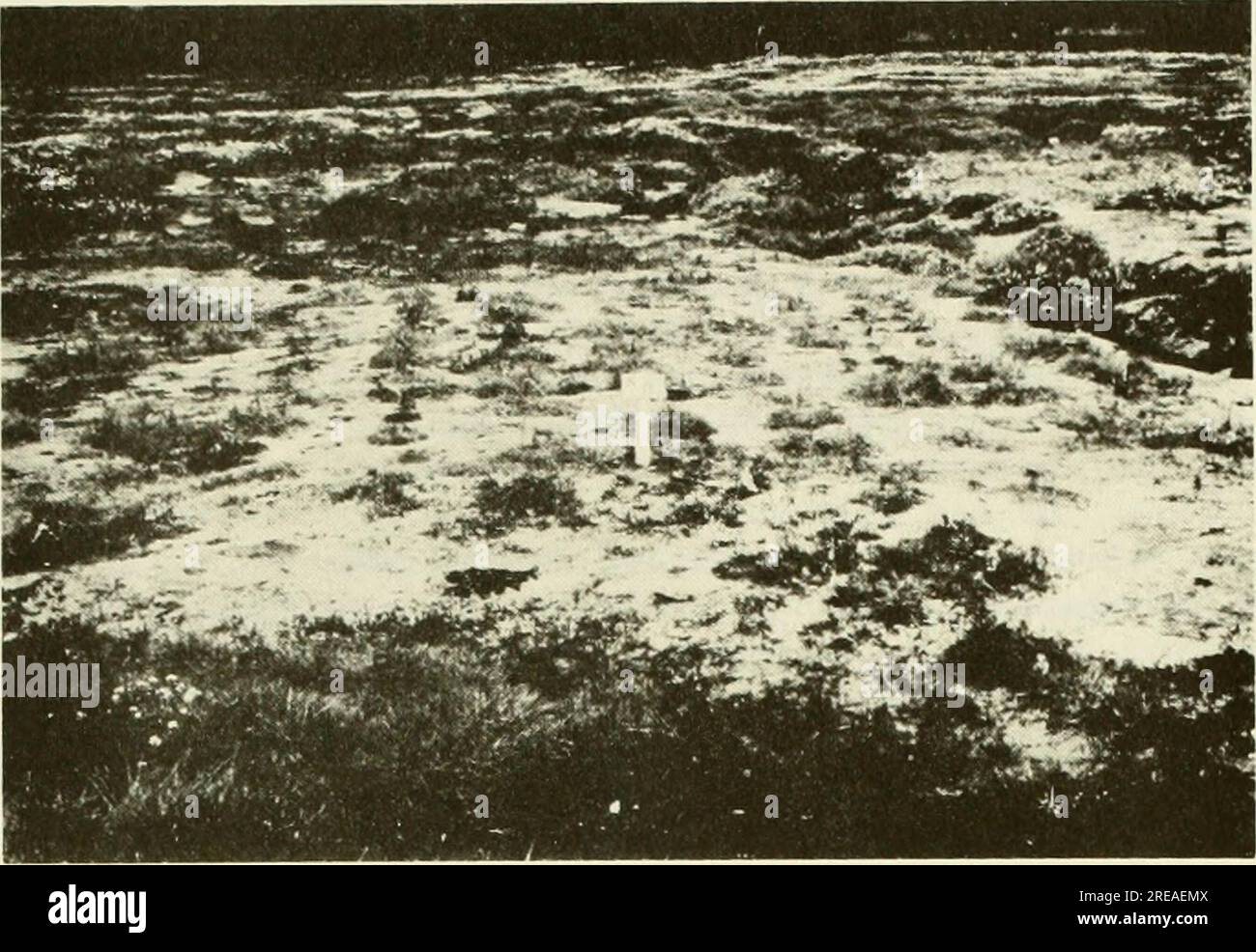 "Ökologische Untersuchung der Ölpest von Amoco Cadiz : Bericht der Gemeinsamen Wissenschaftlichen Kommission NOAA-CNEXO" (1982) Stockfoto
