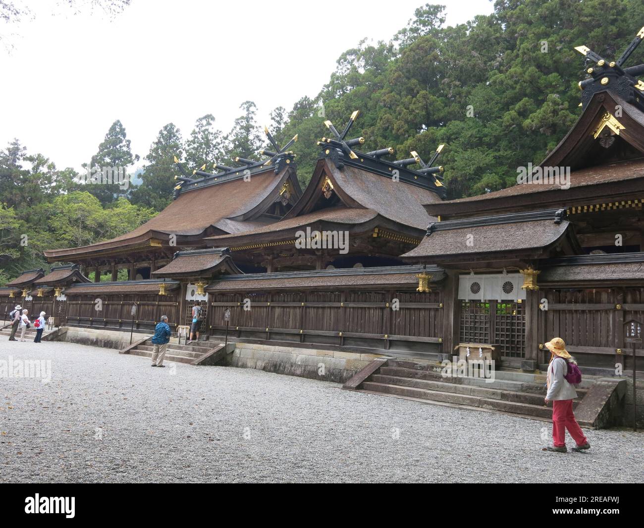 Die Pavillons des Kumano Hongu Taisha Shinto-Schreins sind ein Beispiel für japanische Schreinarchitektur mit natürlichen Materialien und Zypressenrinde Stockfoto