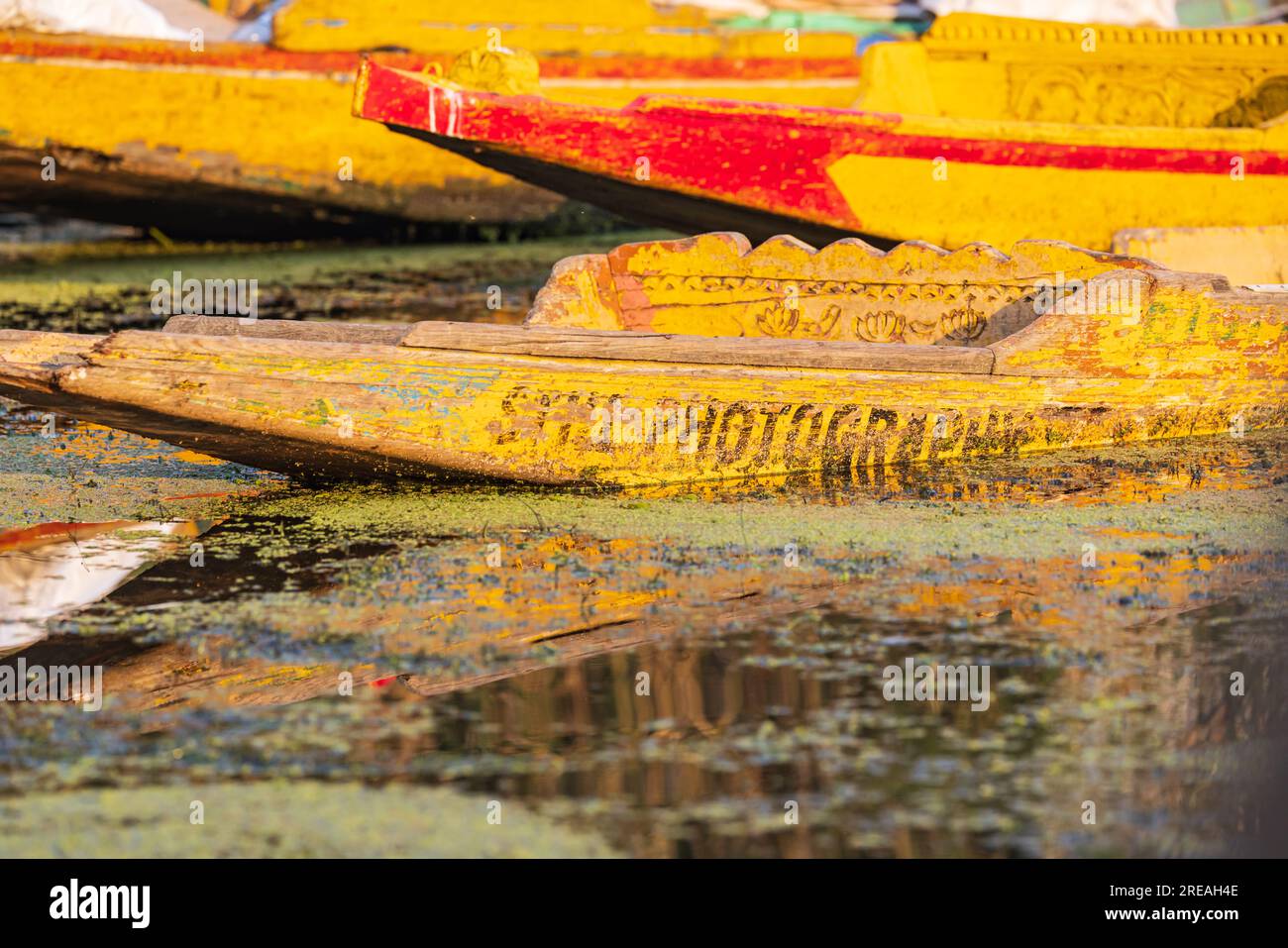 Rainawari, Srinagar, Jammu und Kaschmir, Indien. Farbenfrohe Shikara-Boote am Dal Lake. Stockfoto