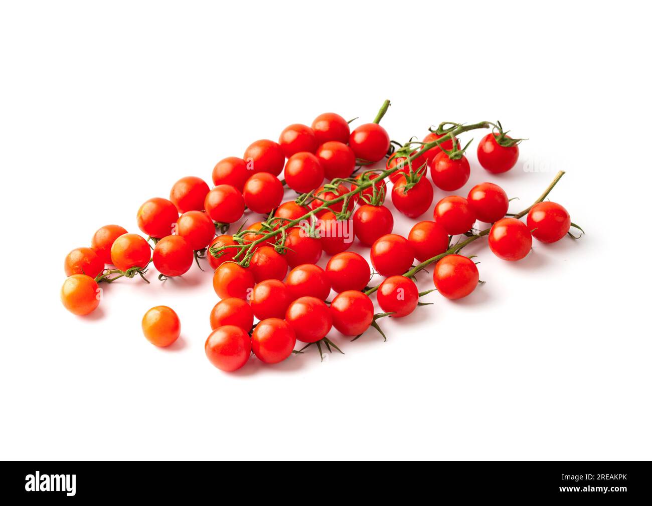 Wunderschöne lange Zweige frischer reifer Kirschtomaten auf weißem Hintergrund mit Blick von oben. Bio-Gemüse. Isolierte Kirschtomaten. Stockfoto