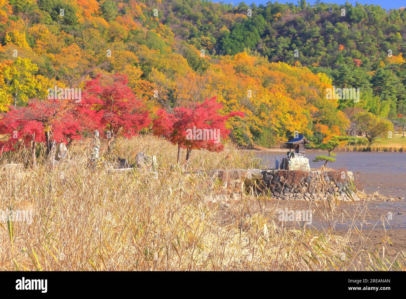 Hirozawa-Teich im Herbst Stockfoto