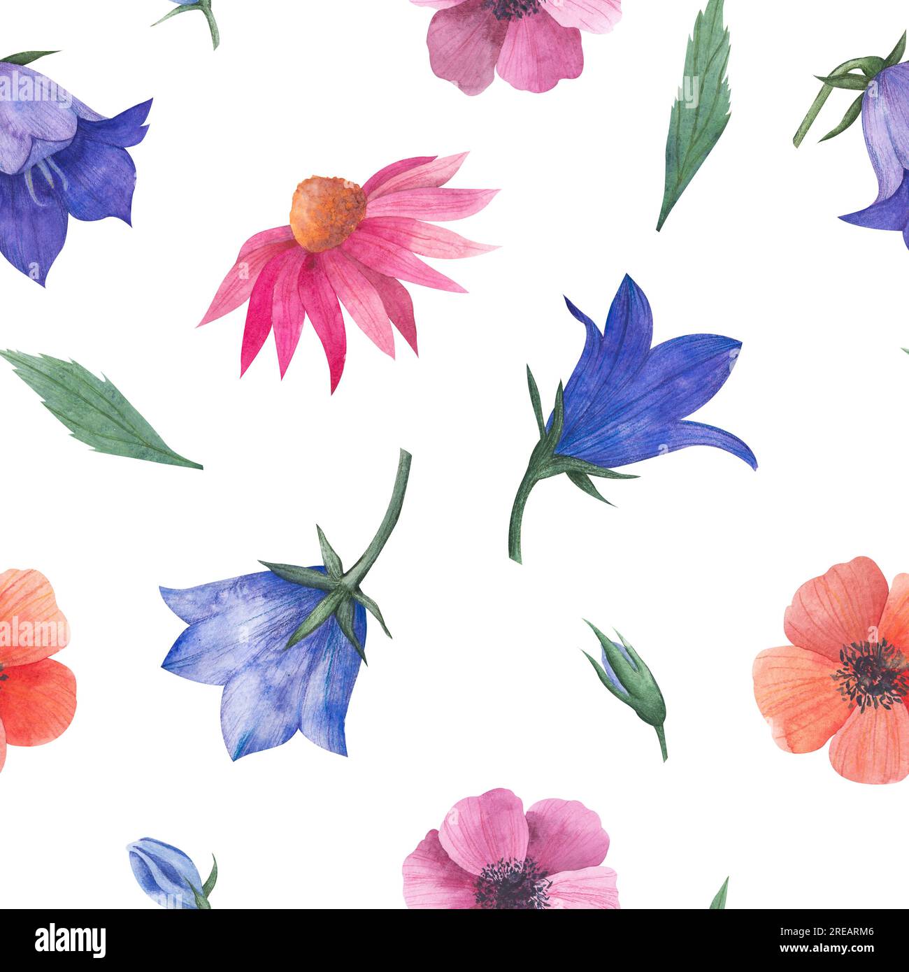 Wasserfarbenes nahtloses Muster mit Wildblumen, Bluebell-Knospen, Anemonen, kosmea-Blume, Echinacea für Textilien oder Tapeten, Illustration in Stockfoto