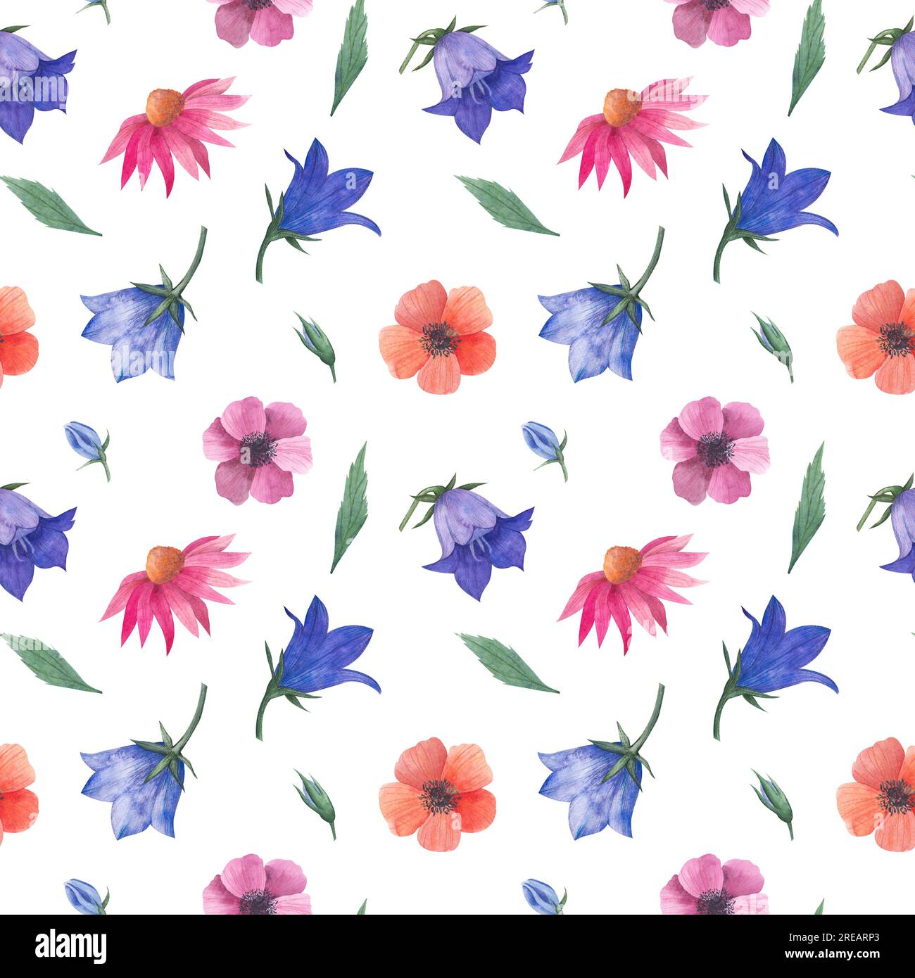 Wasserfarbenes nahtloses Muster mit Wildblumen, Bluebell-Knospen, Anemonen, kosmea-Blume, Echinacea für Textilien oder Tapeten, Illustration in Stockfoto