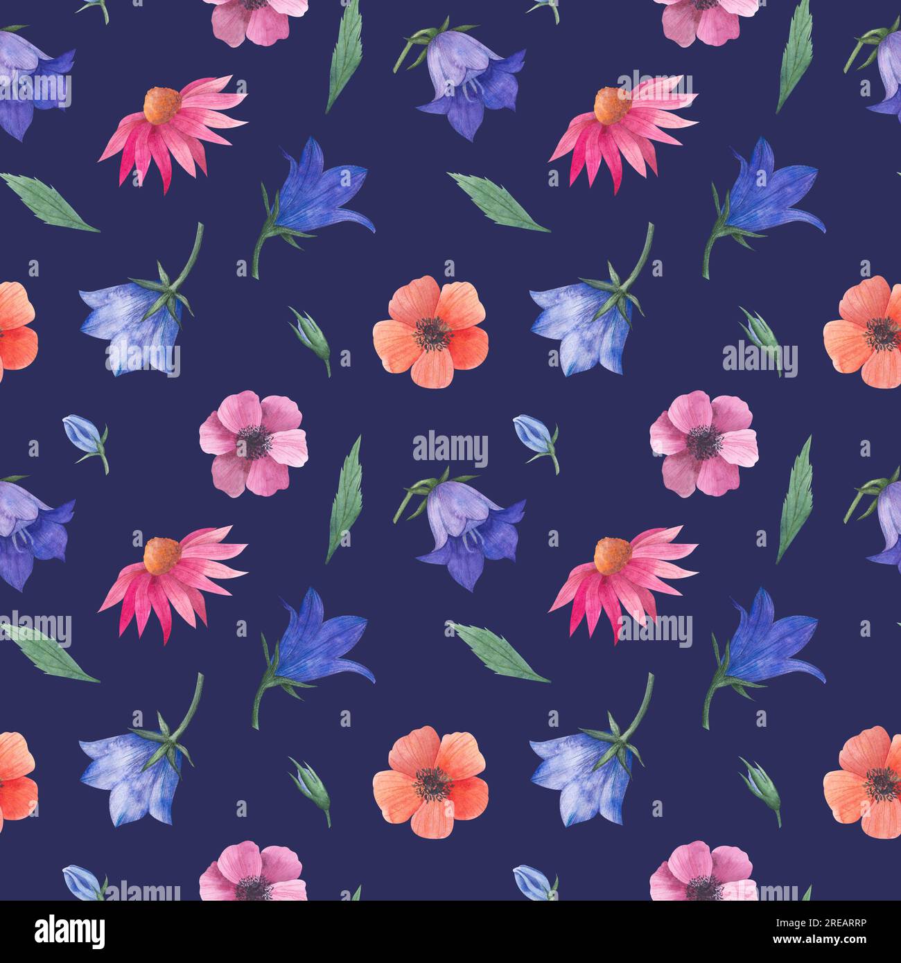 Wasserfarbenes nahtloses Muster mit Wildblumen, Bluebell-Knospen, Anemonen, kosmea-Blume, Echinacea für Textilien oder Tapeten, Illustration in Stockfoto