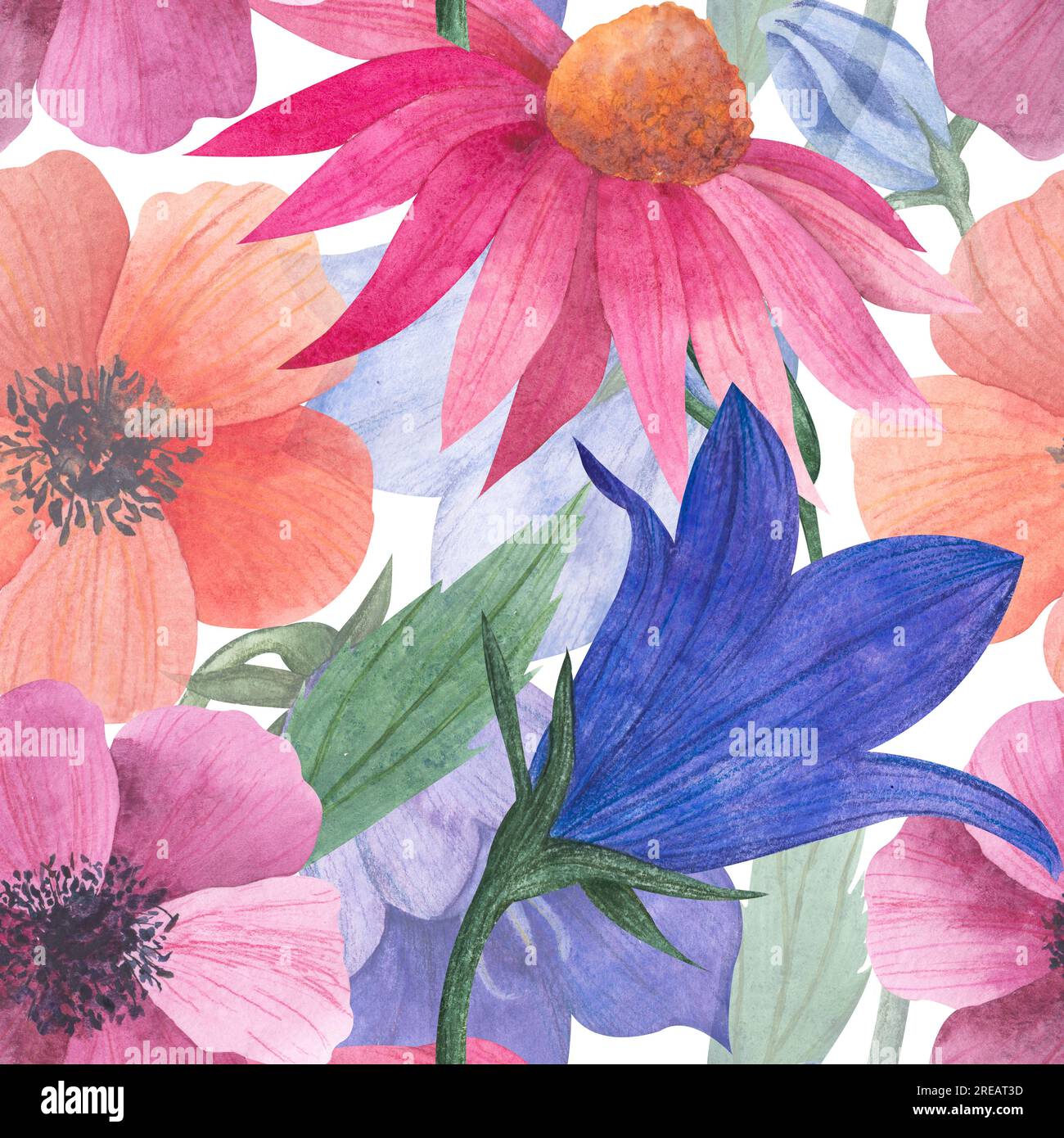 Wasserfarbenes nahtloses Muster mit Wildblumen, Bluebell-Knospen, Anemonen, kosmea-Blume, Echinacea für Textilien oder Tapeten, Illustration in Stockfoto