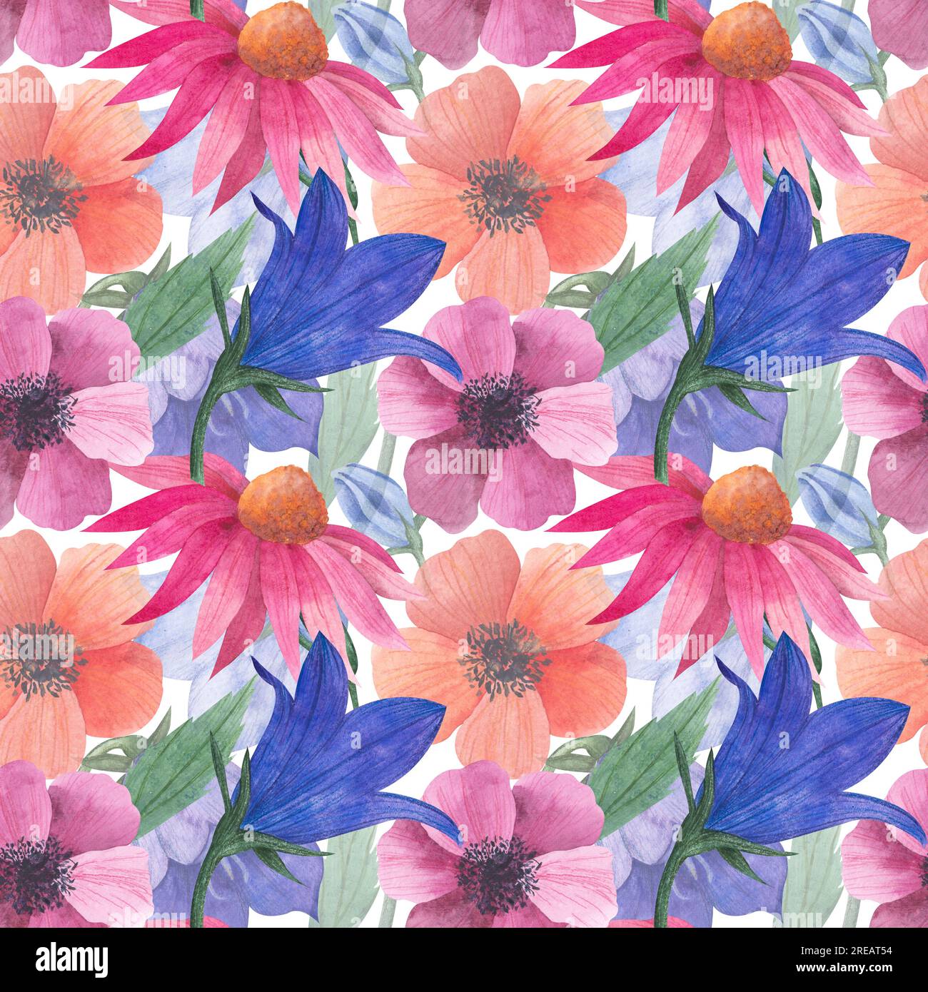 Wasserfarbenes nahtloses Muster mit Wildblumen, Bluebell-Knospen, Anemonen, kosmea-Blume, Echinacea für Textilien oder Tapeten, Illustration in Stockfoto