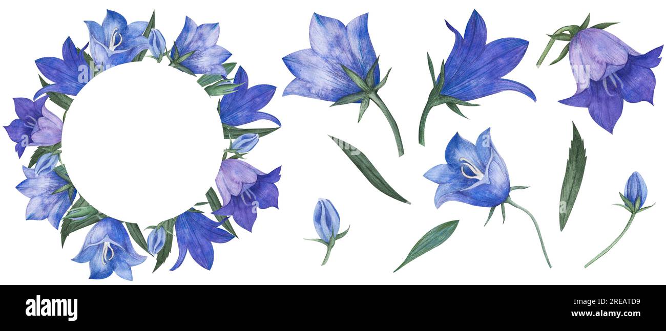 Aquarelle Kranz mit blumigen Wildblumen, Wildblumen, Bluebell-Knospen, Anemonen, kosmea-Blüten, echinacea, Zusammensetzung mit isolierten Elementen Stockfoto