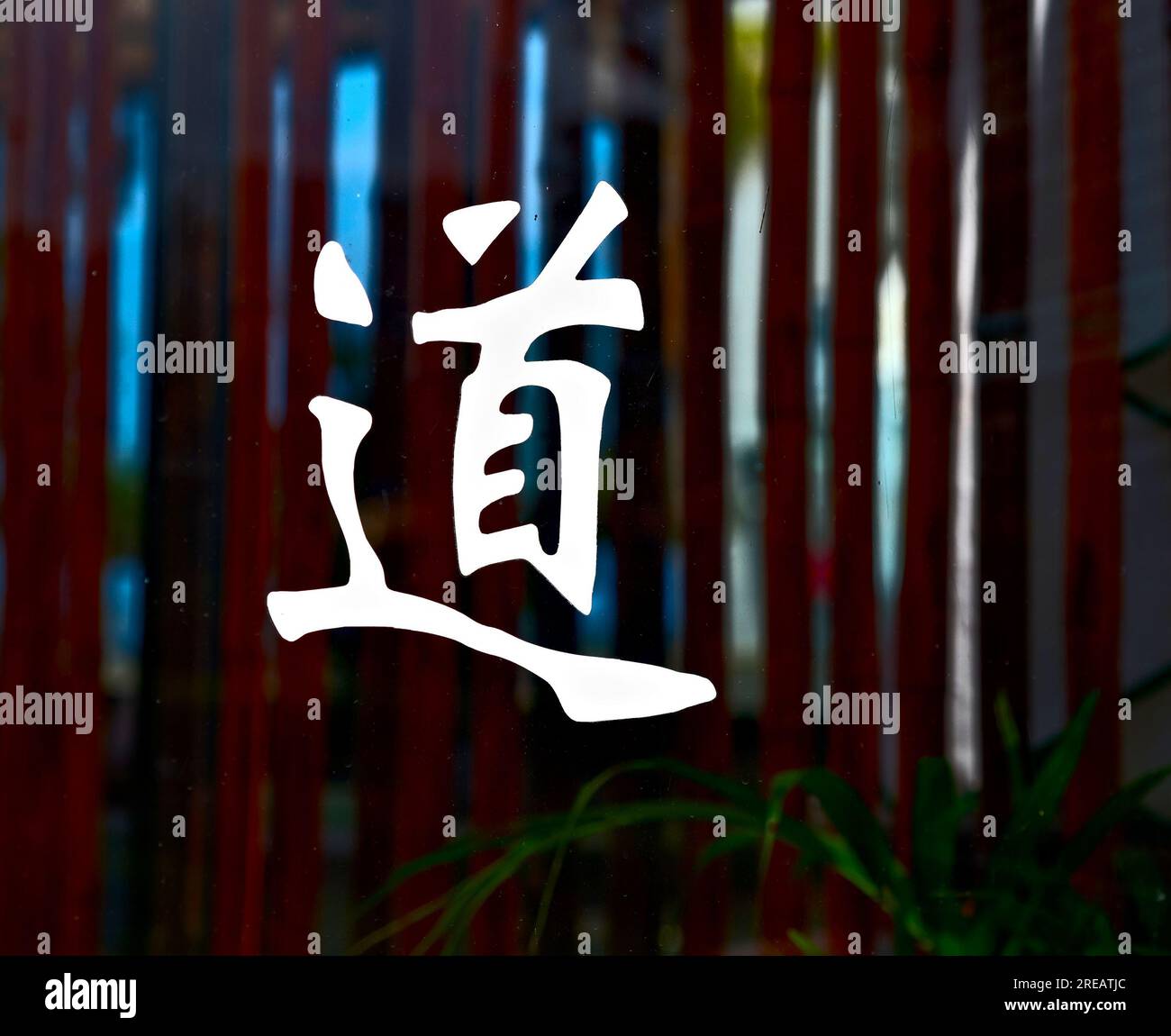 Chinesisches Ideogramm tao / Japanisches Wort do (Englisch: Weg, Straße oder Methode). Isoliert auf einer Glasplatte mit dunklem Bambusblütenhintergrund. Stockfoto