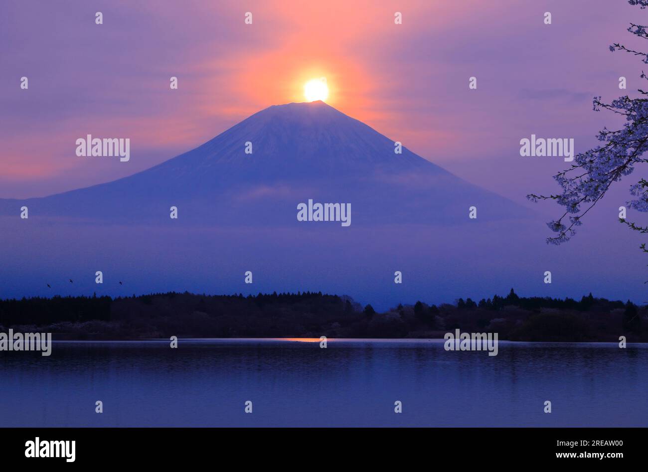 Diamond Mt. Stockfoto