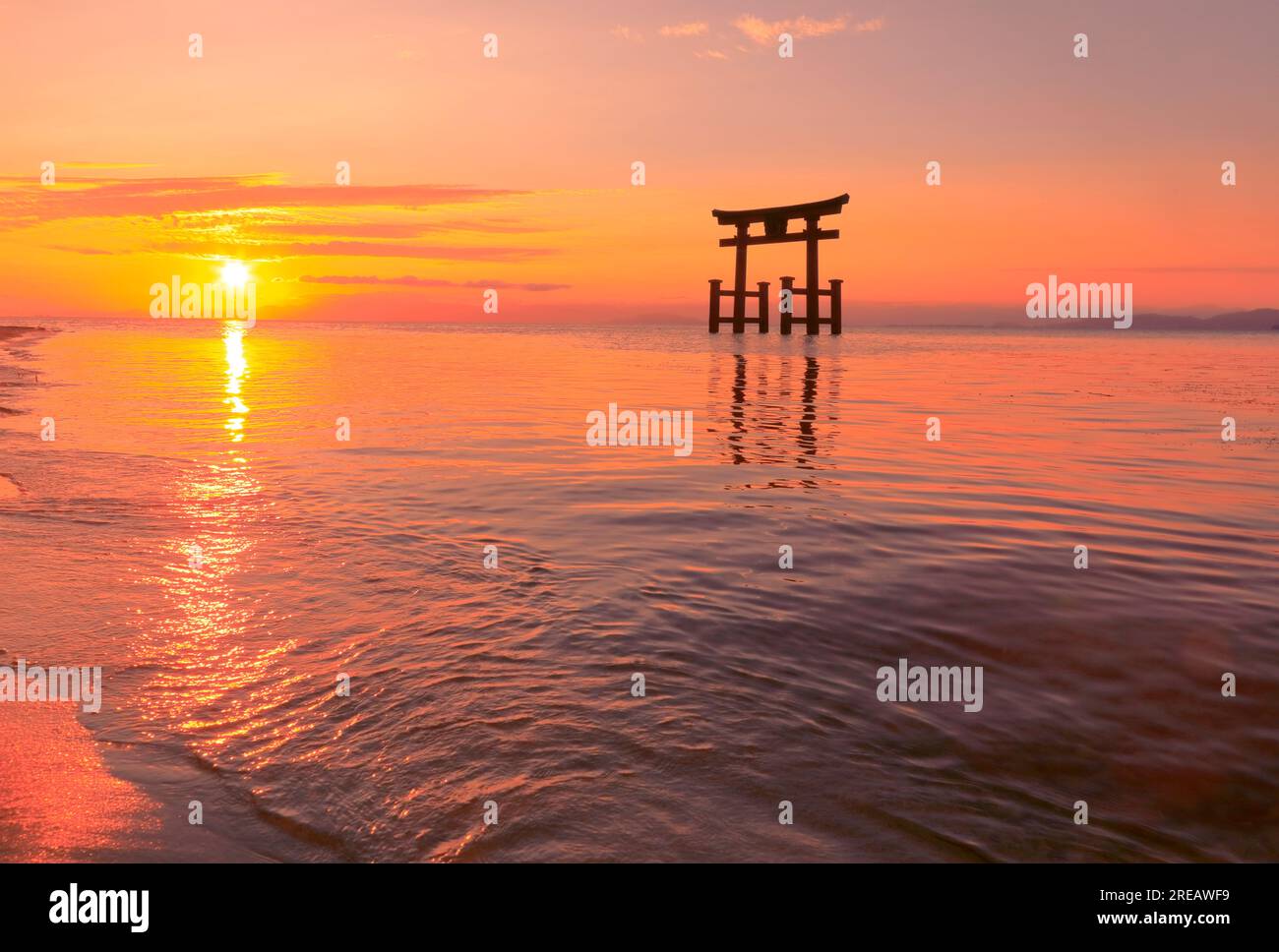 Shirahige-Schrein bei Sonnenaufgang Stockfoto