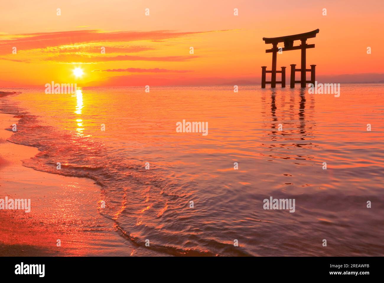 Shirahige-Schrein bei Sonnenaufgang Stockfoto