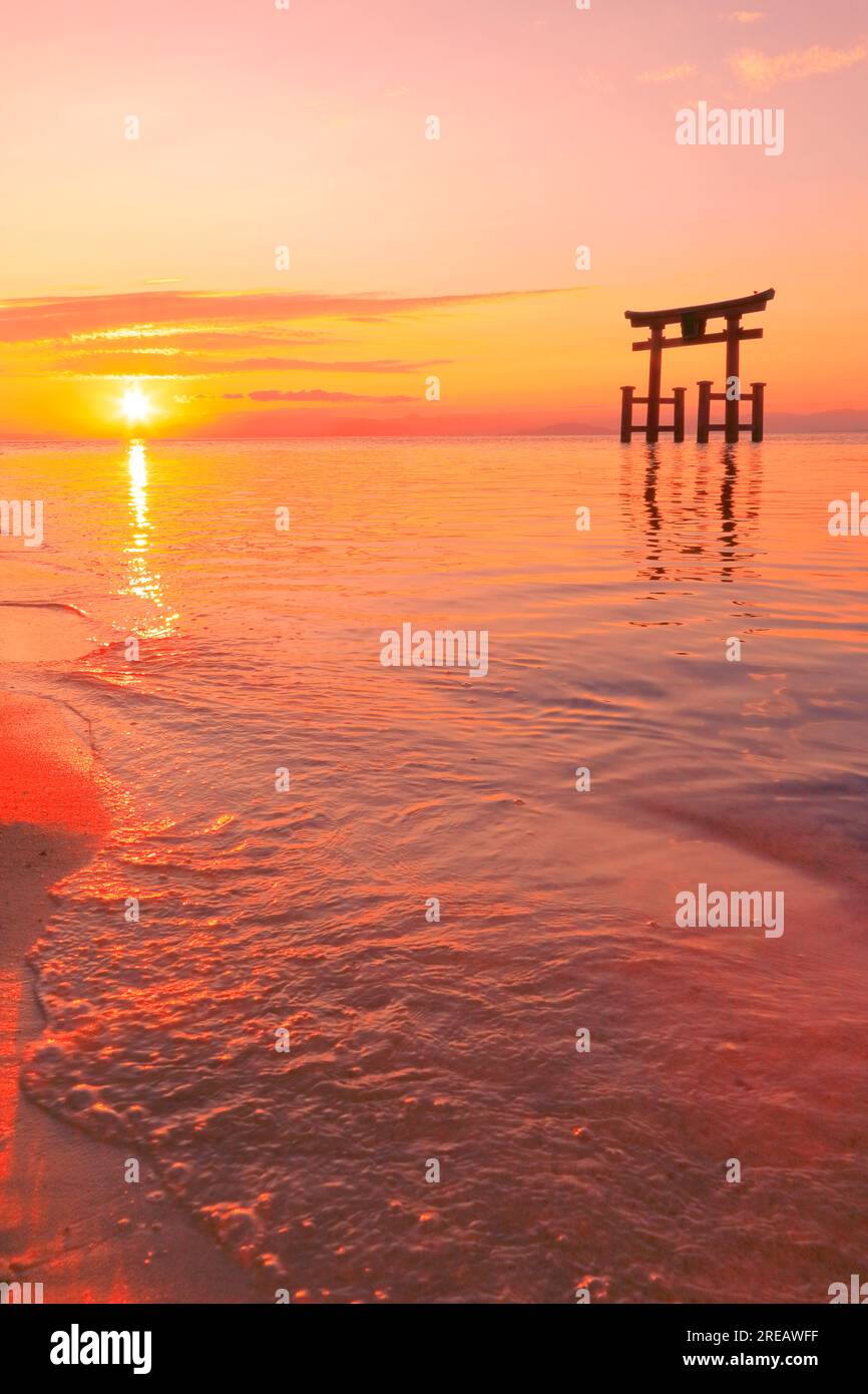Shirahige-Schrein bei Sonnenaufgang Stockfoto