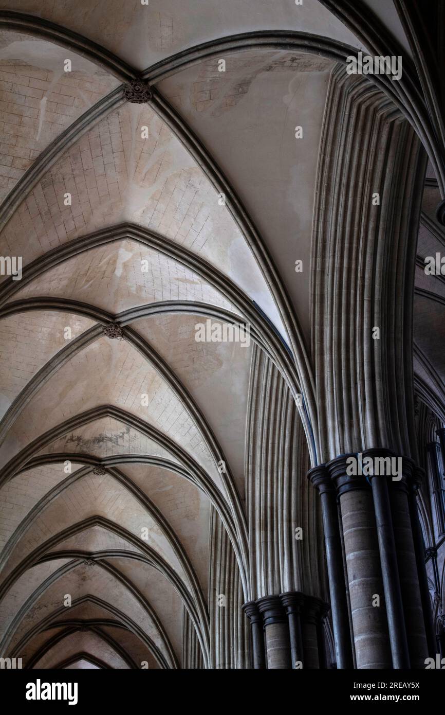 Das frühenglisch-gotische Innere der Salisbury Cathedral, Salisbury, England, Großbritannien Stockfoto