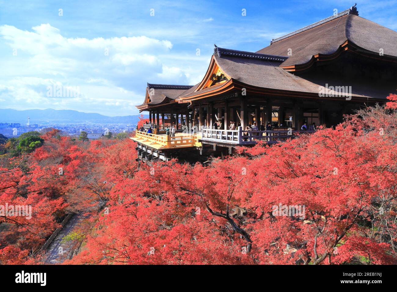 Kiyomizu-Tempel im Herbstlaub Stockfoto