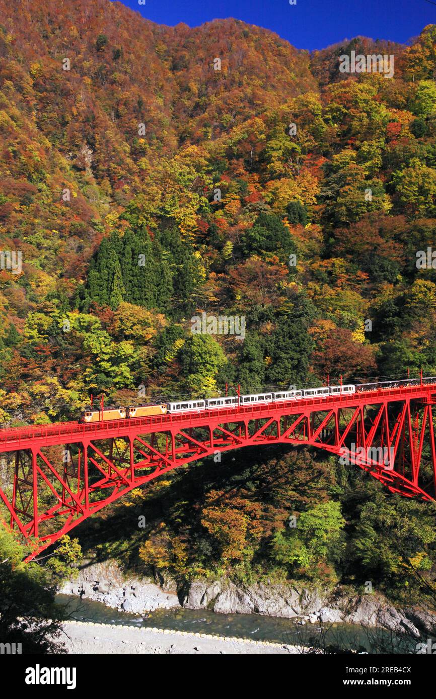 Kurobe Gorge Railway Stockfoto