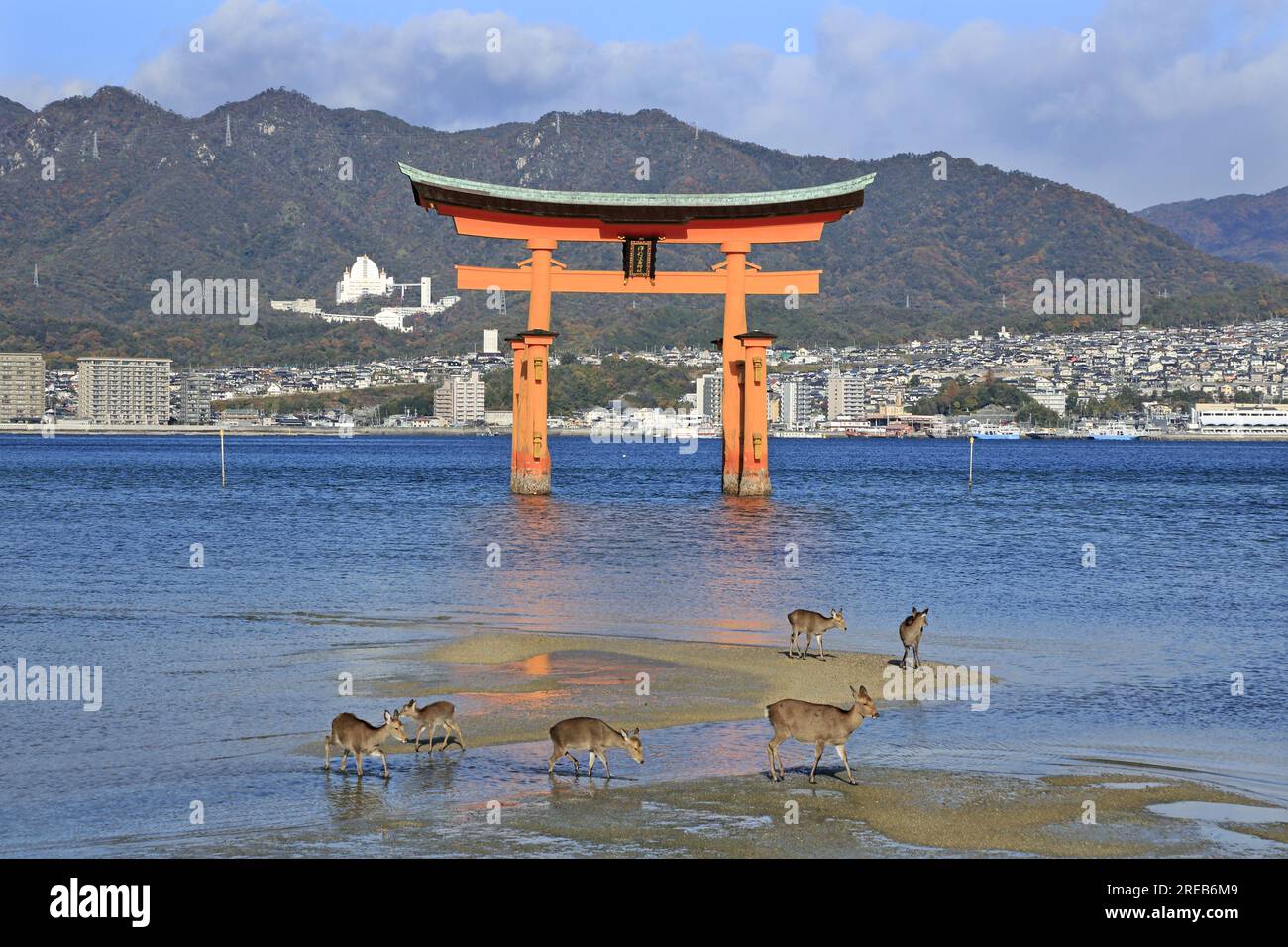 Insel Miyajima Stockfoto