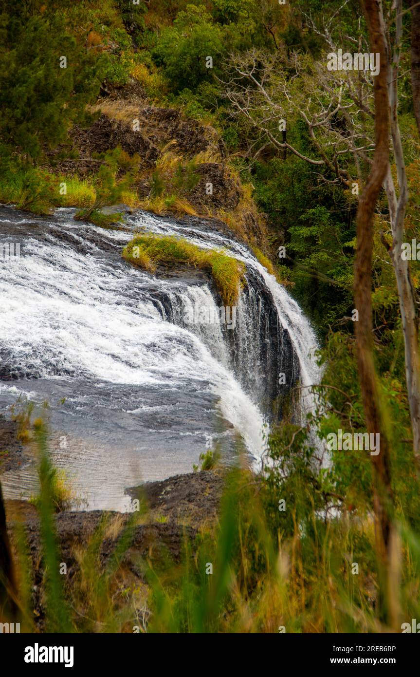 Millstream Falls, Yindinji, Big Millstream Falls, angeblich der breiteste Wasserfall Australiens, Ravenshoe, Australien. Stockfoto