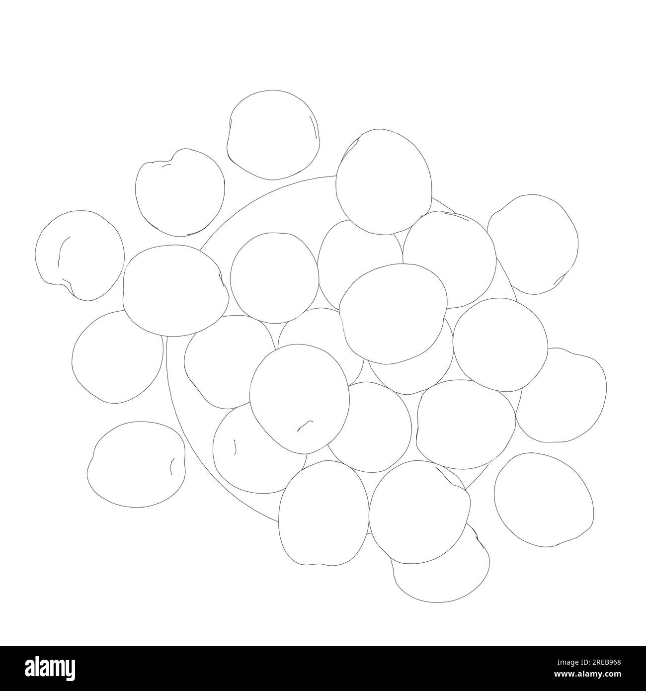 Vektordarstellung der Pfirsichfrucht auf dem Teller. Halb-, Scheiben- und ganze Form von Pfirsich, Nektarine, Aprikose, Apfel. Pfirsiche isoliert auf weißem Hintergrund. Fl Stock Vektor