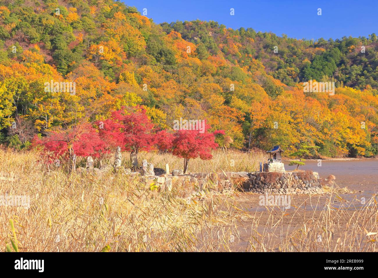 Hirozawa-Teich im Herbst Stockfoto