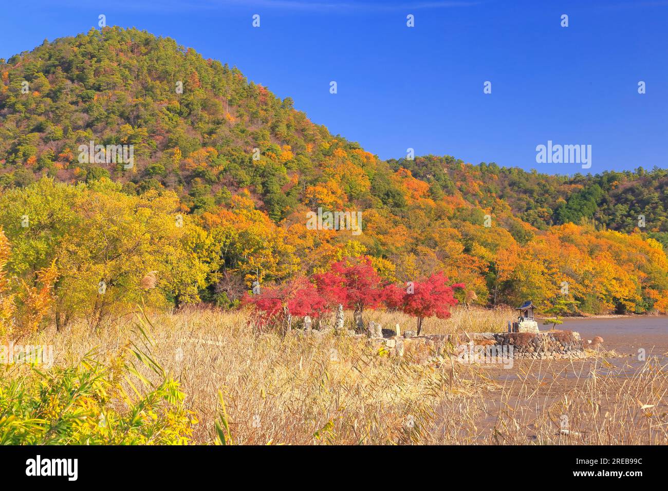 Hirozawa-Teich im Herbst Stockfoto