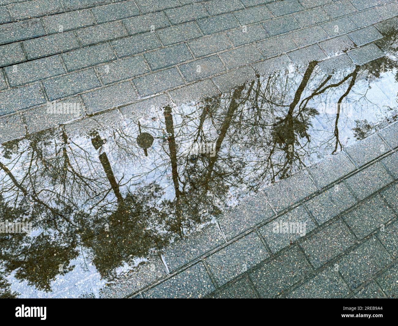 Überfluteter Untergrund nach starkem Regen mit Himmel und Bäumen Reflexionen in der Wasserpfützeloberfläche Stockfoto